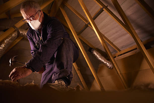 Best Types of Insulation in Paulina, LA